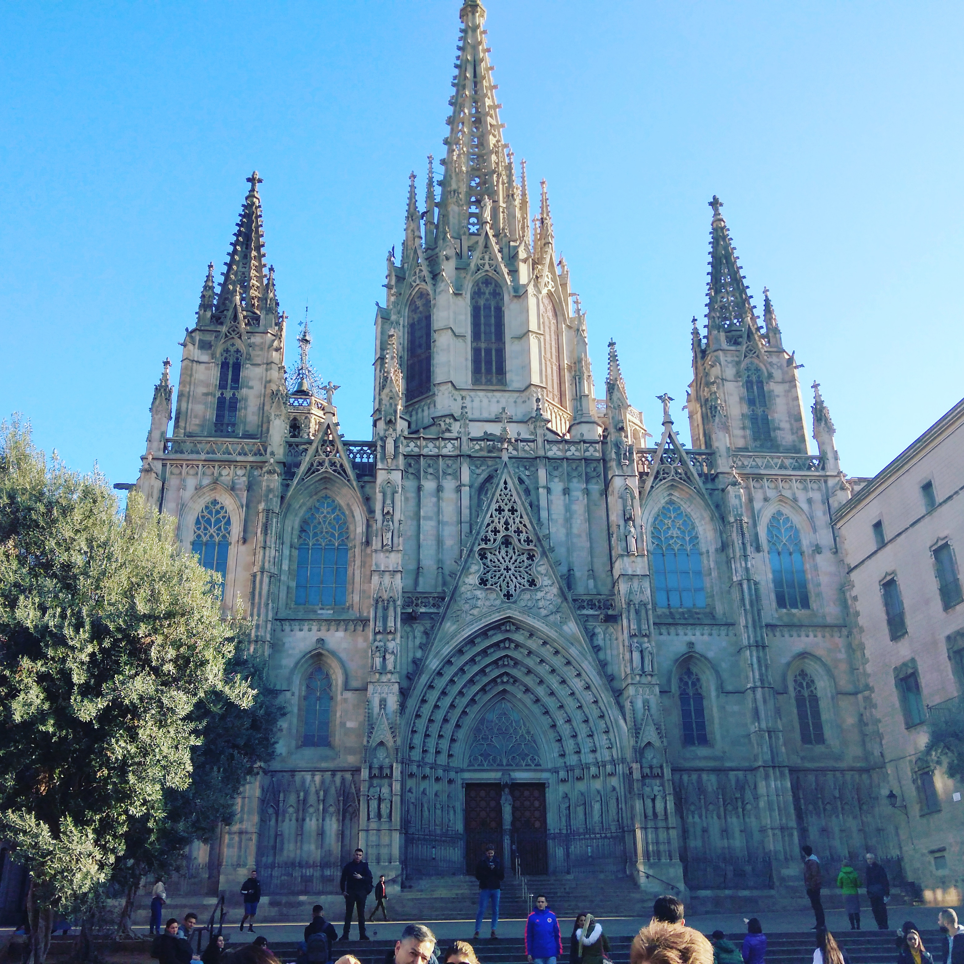 IMG_20200106_154220_031 - Copy