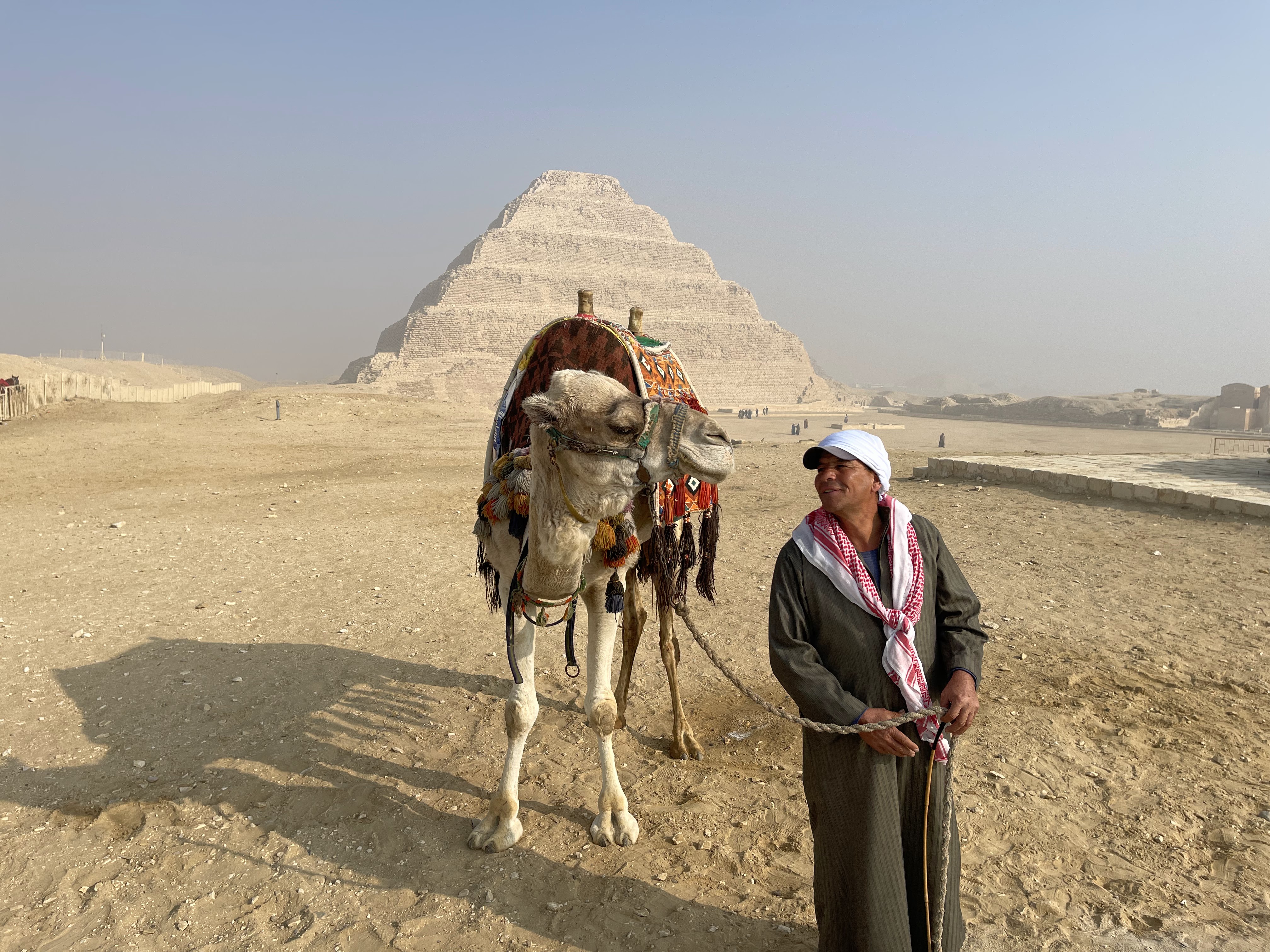 alt="Camel standing in front of the step pyramid in Egypt"